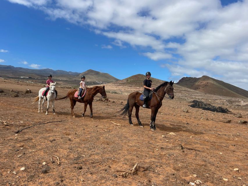 One Hour Horse Riding Tour in Gran Canaria - Experience Highlights