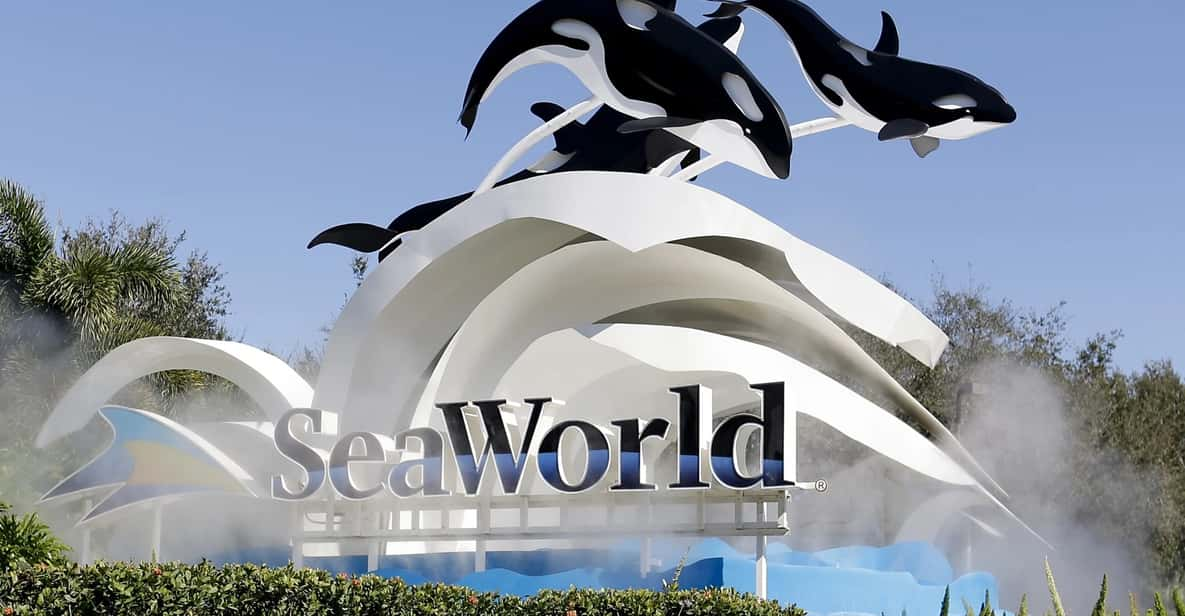 Orlando: SeaWorld Shuttle Service - Experience Highlights