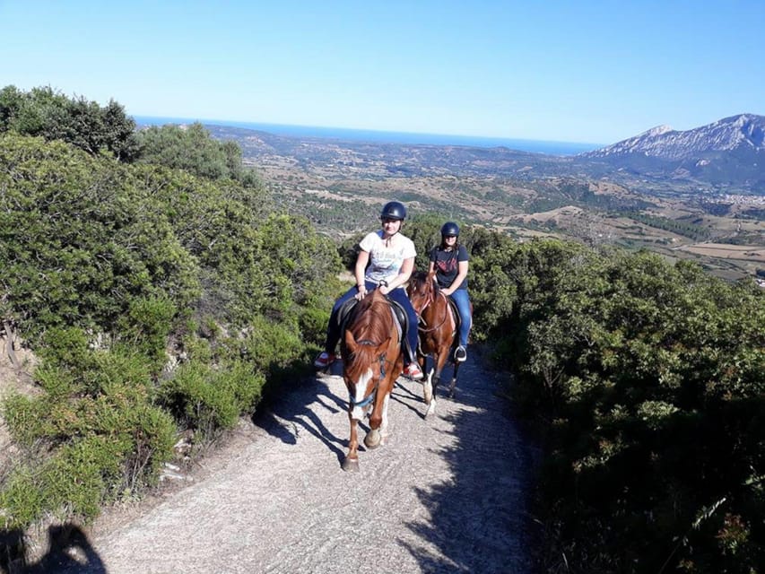 Orosei: Horse Riding on the Beach - Booking Process