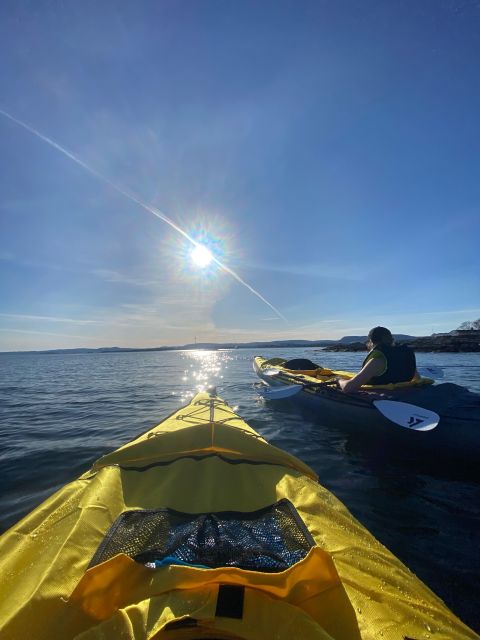 Oslo: All-inclusive Self-guided Kayaking Expedition - Experience Highlights