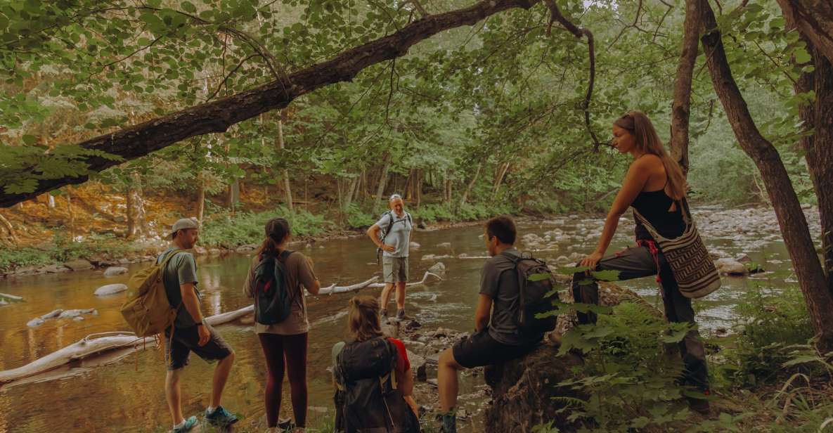 Oslo: Lysaker Wild River Walk - Experience Highlights