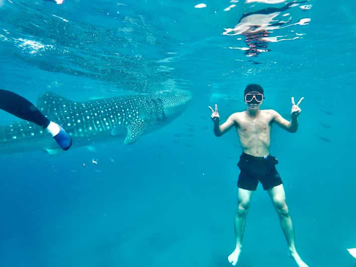 Oslob Whale Shark Direct - Inclusions and Exclusions