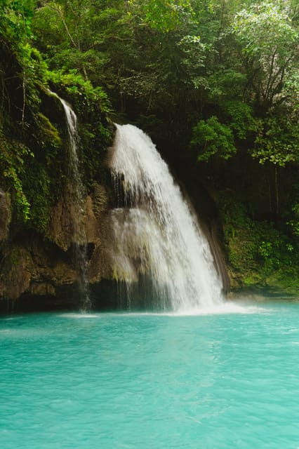 Oslob Whaleshark & Kawasan Falls Tour - Booking and Availability