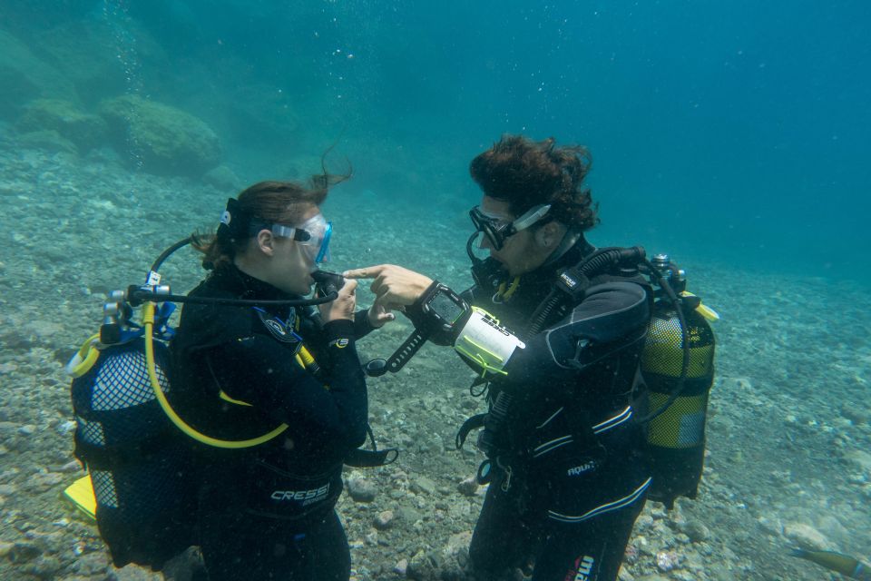 PADI ReActivate Course - Target Audience