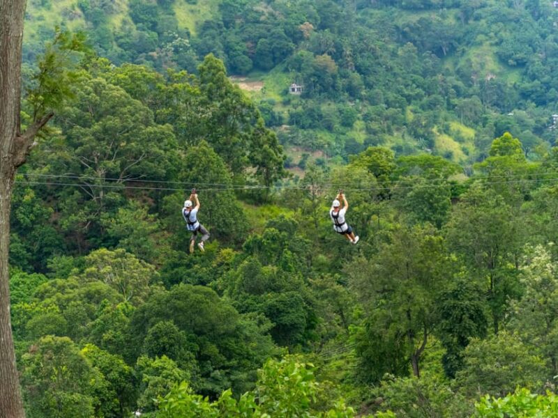 Pai: Jungle Ziplining Adventure With 16 Platforms - Zipline Platforms and Cost