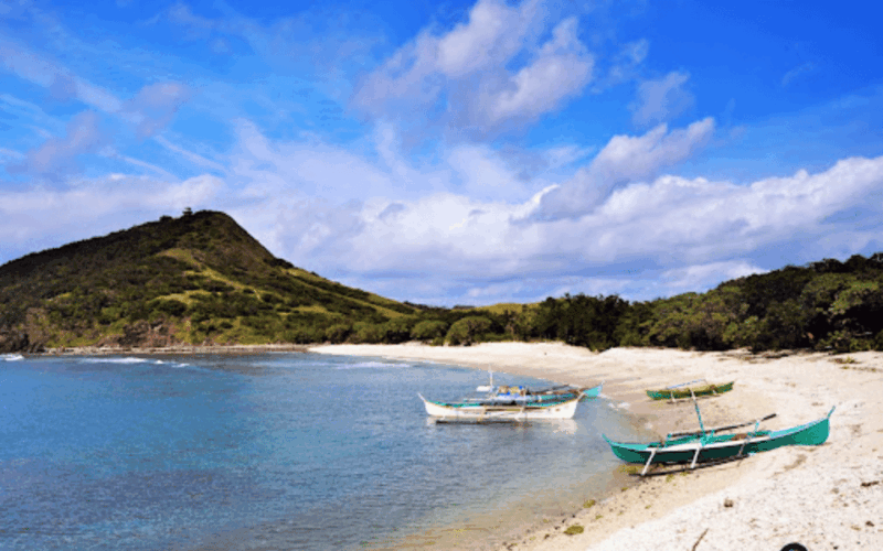 PALAUI REEF TOUR (Private) - Tour Pricing