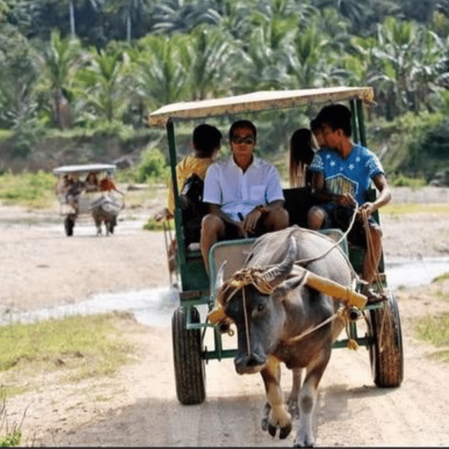 Palawan Inland Experience - Karabao Ride and Farm Tour