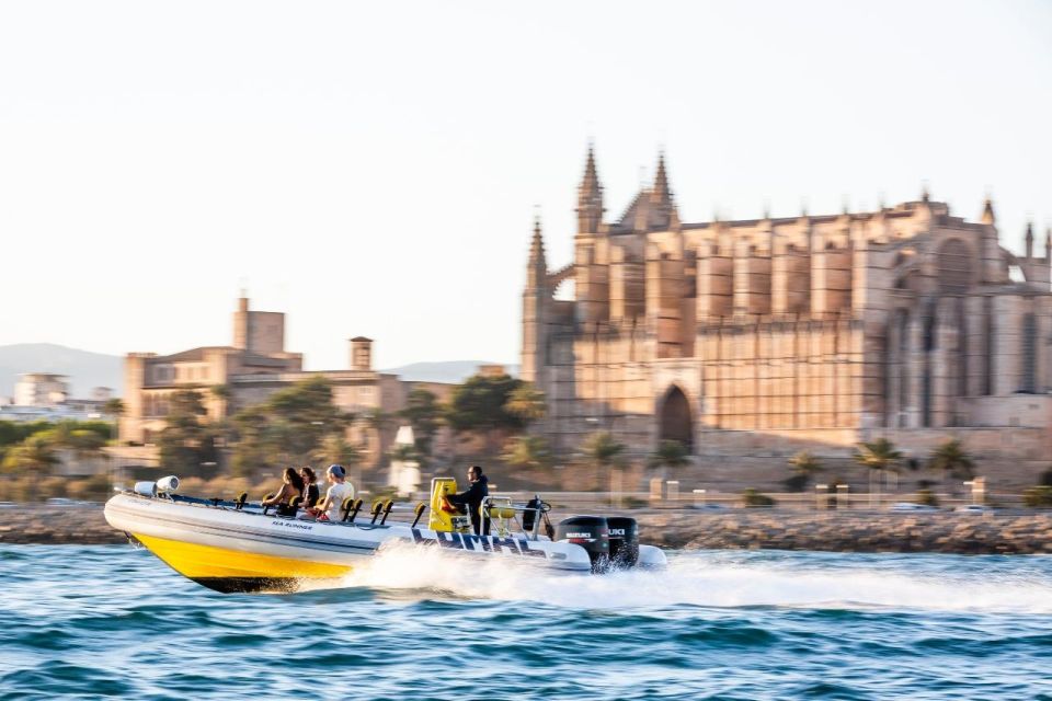 Palma Bay: Speedboat Discovery Tour - Activity Details