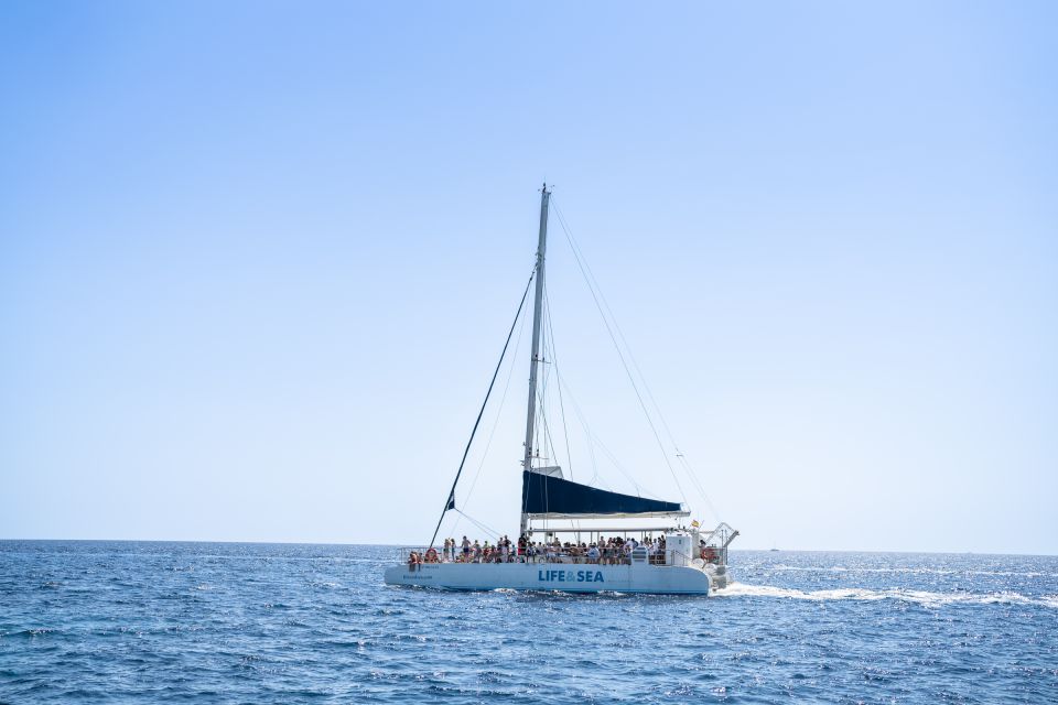 Palma: Catamaran Cruise With Swimming and Snorkelling - Cruise Highlights