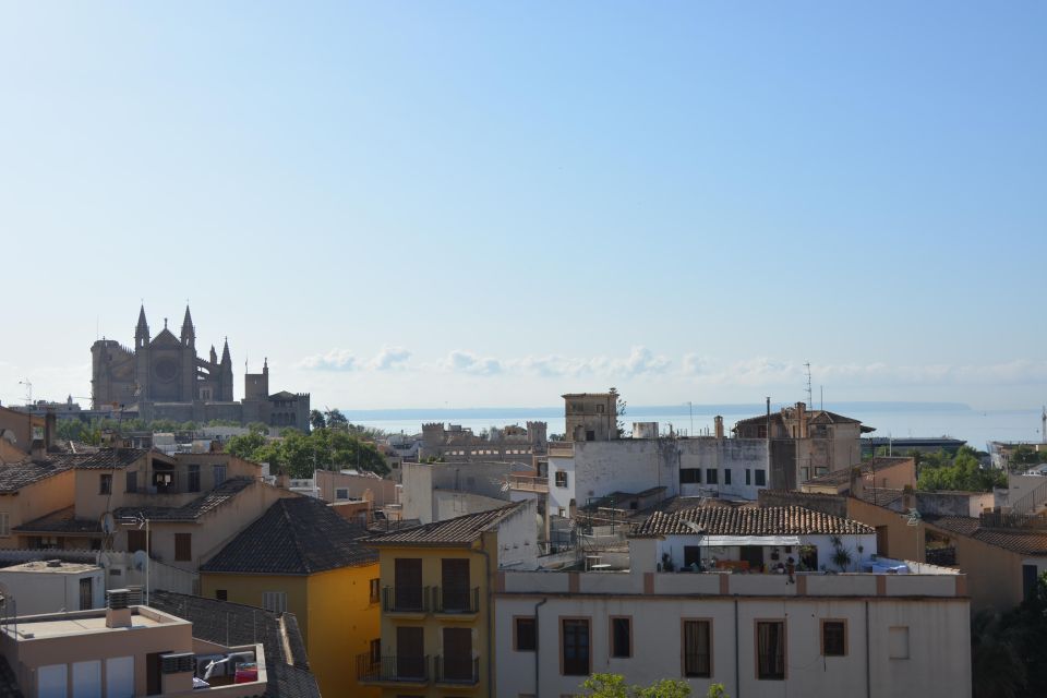 Palma De Mallorca Old Town Guided Bike Tour and Tapas - Experience Features