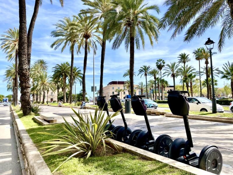 Palma: Private Guided Segway Tour - Customer Feedback