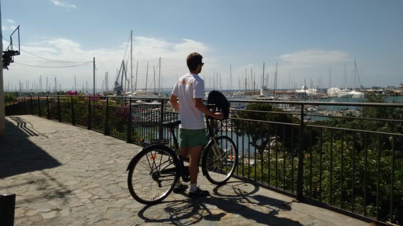 Palma Shore Excursion Bike Tour (Transfer Included) - Tour Experience