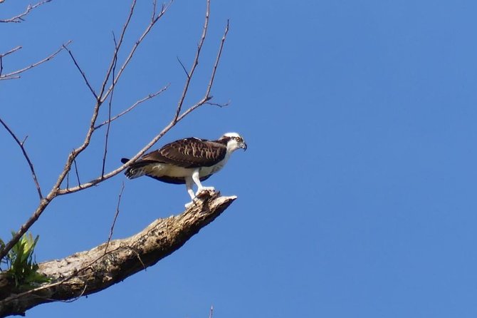 Palo Verde Jungle Boat Tour, Guaitil Pottery & Lunch - Cancellation Policy