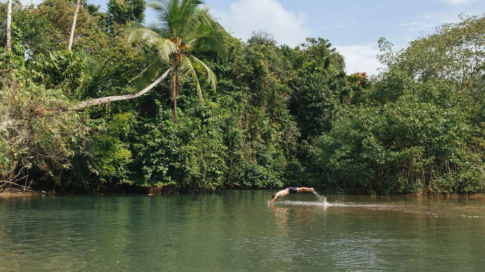 Palomino: Hiking Tour of Valencia Waterfalls With Transfers - Experience Highlights