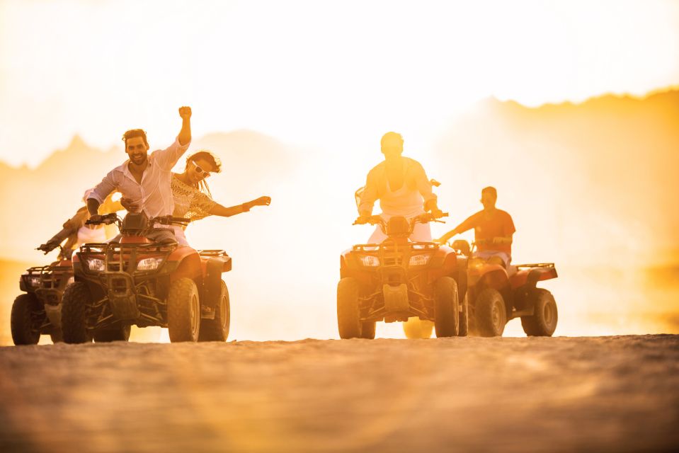 Palomino Quad Bike Tour - Experience Highlights