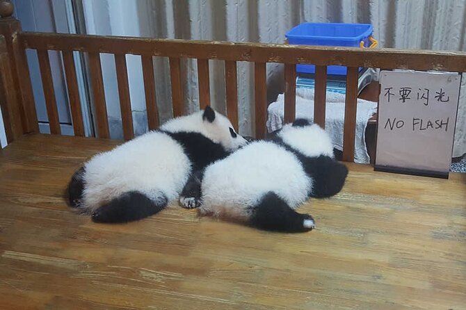 Panda and Cultural Chengdu 1 Day Tour - Calligraphy Experience