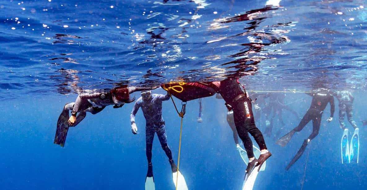 Panglao Bohol: One-Day Introduction to Freediving - Training Details