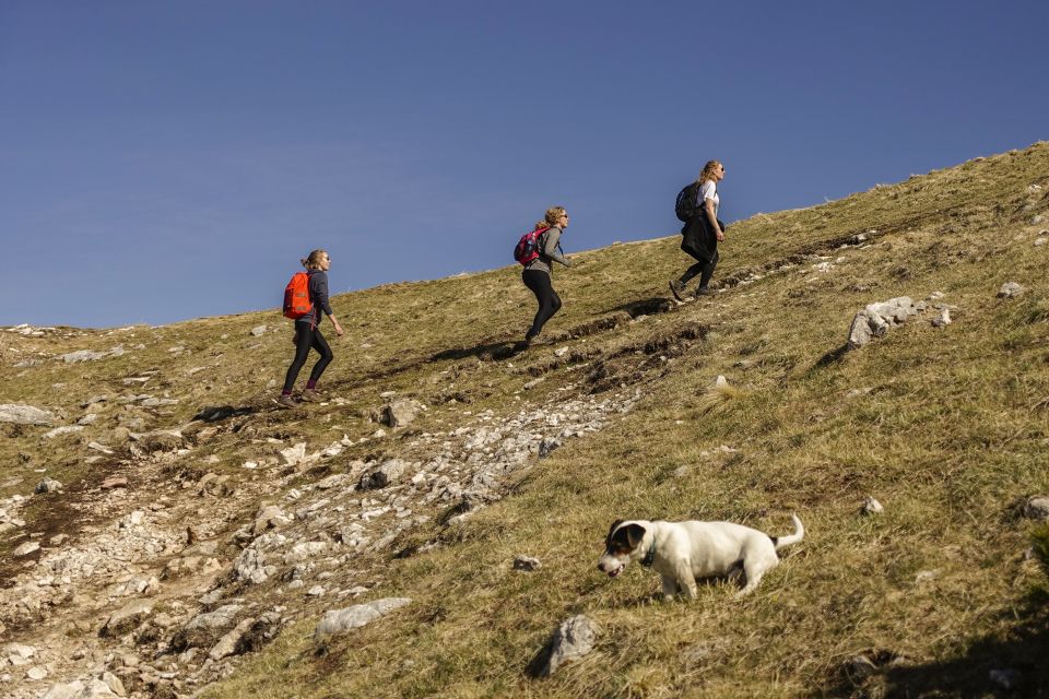 Panoramic Hike in Julian Alps - Food and Amenities