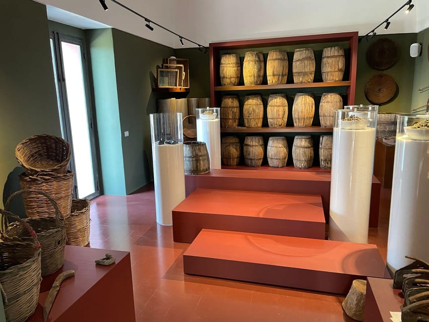 Pantelleria: Visit the Tastiest Museum Ever The Caper Museum - Museum Features