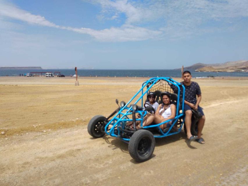 Paracas: Mini Buggy Ride in Paracas National Reserve - What to Expect During the Ride