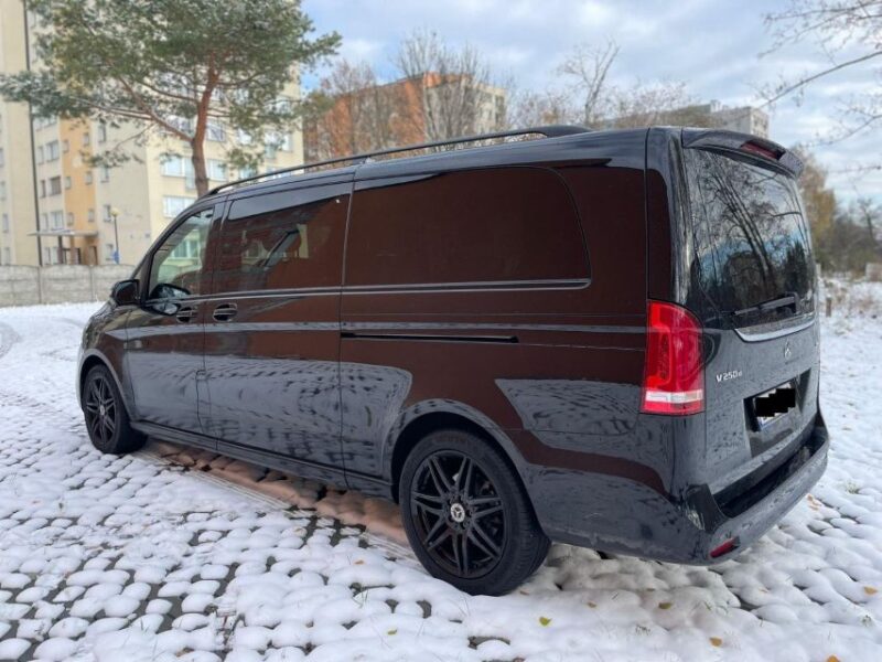 Paris: Private Chauffeur Transfer Service - Flexible Booking Options