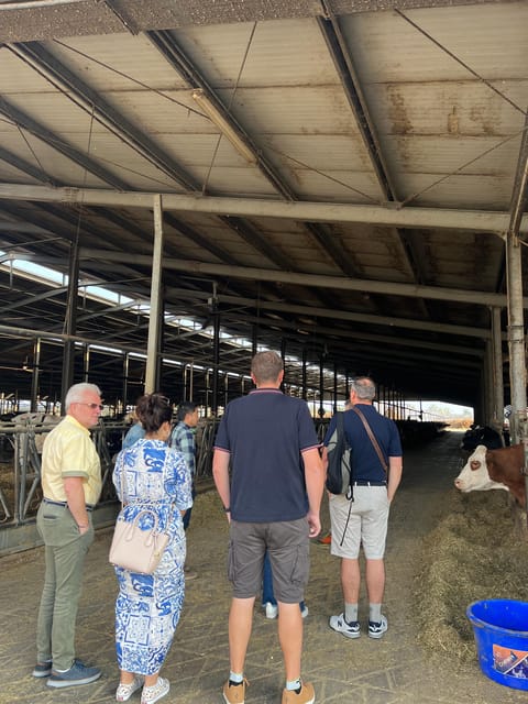 Parmesan, Balsamic Day Tour W/Cooking Class at Locals Home - Cheese Production Experience