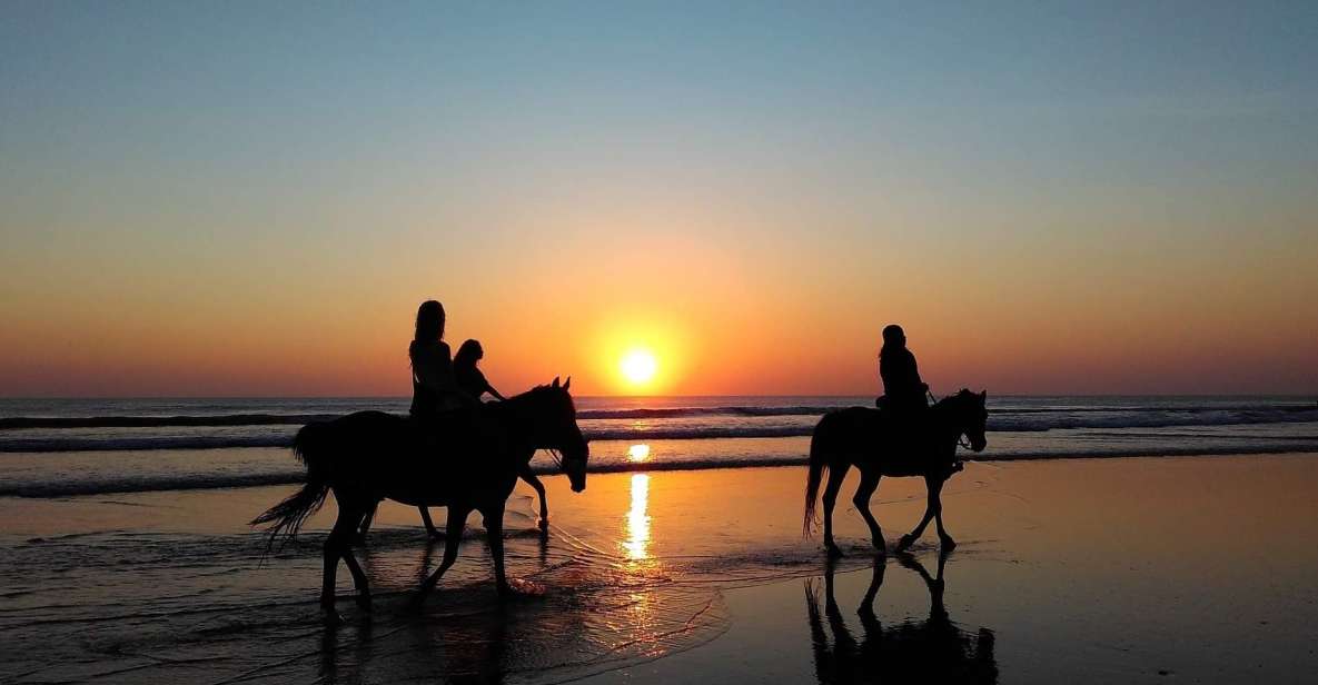 Paros: Island Horseback Riding Adventure - Inclusions