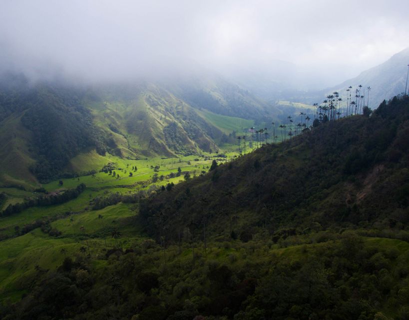 Pereira/Armenia: Private Cocora Valley & Salento Hiking Tour - What to Expect During the Hike