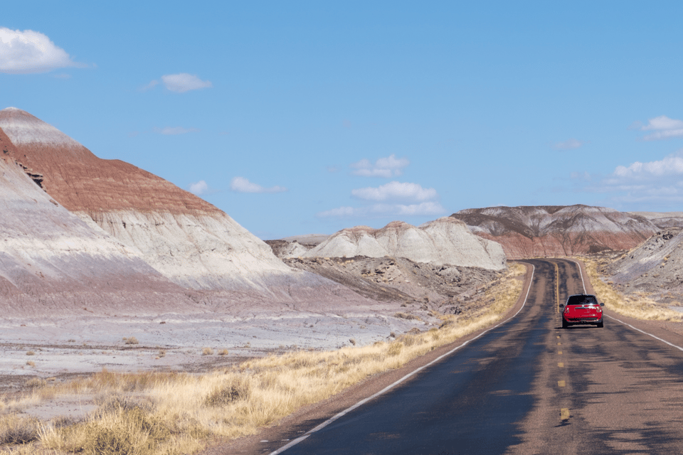 Petrified Forest National Park: Scenic Driving Tour - Natural and Cultural Significance