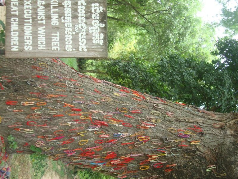 Phnom Penh: S-21 Prison and Killing Fields Half-Day Tour - Detailed Itinerary