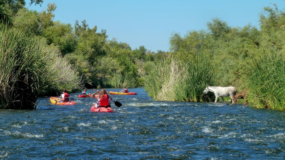 Phoenix: Self-Guided Kayaking Trip to Foxtail - Safety and Restrictions