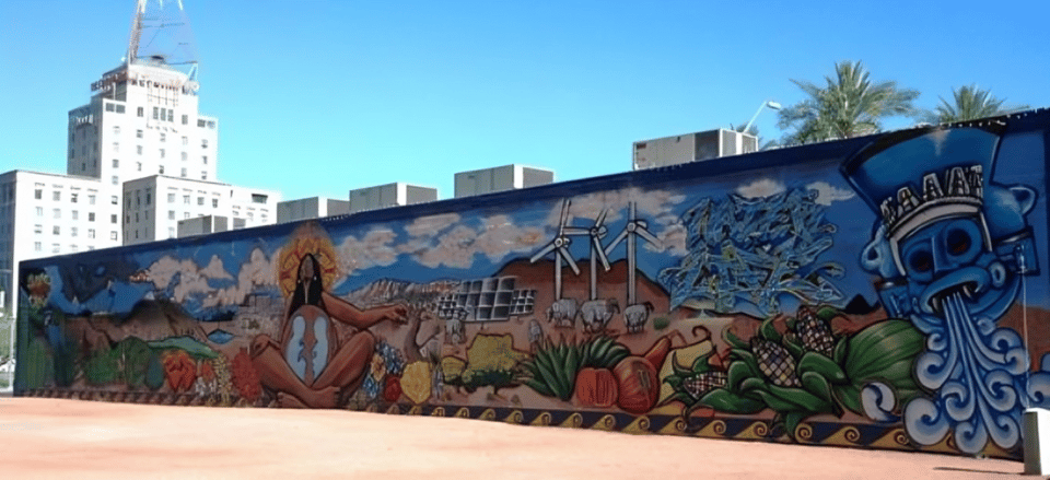 Phoenix : Street Art Walking Tour With A Guide - Experience and Insights