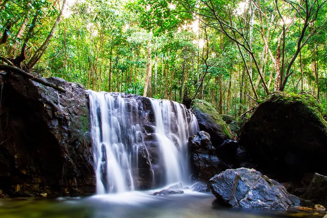 Phu Quoc Discover South and North Together_Private Tour - Experiencing Sim Wine Production