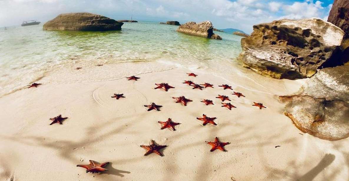 Phu Quoc: Kayaking With Starfish Beach and Bee Farm Tour - Inclusions and Exclusions