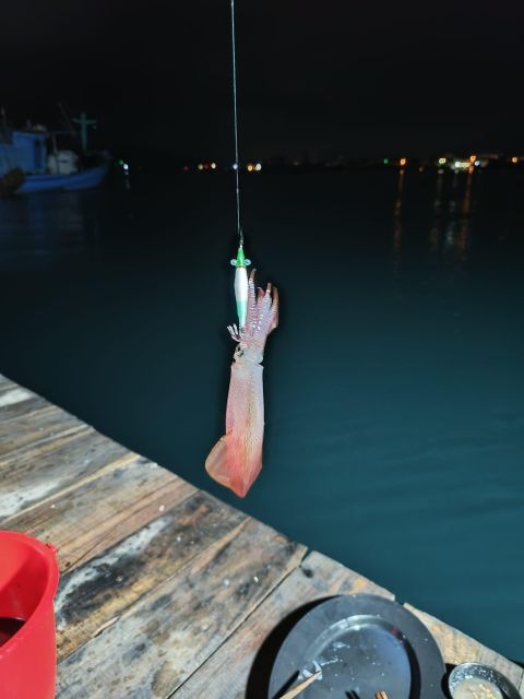Phu Quoc: Squid Fishing Tour With Sunset Views & Dinner - Itinerary and Schedule