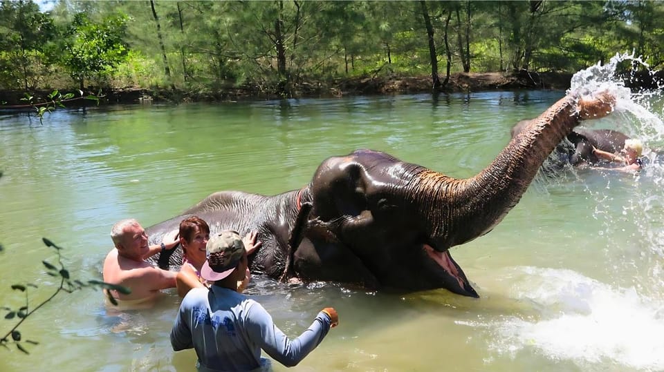 Phuket: Bamboo & Water Rafting With Elephant Bathing - Highlights and Experiences