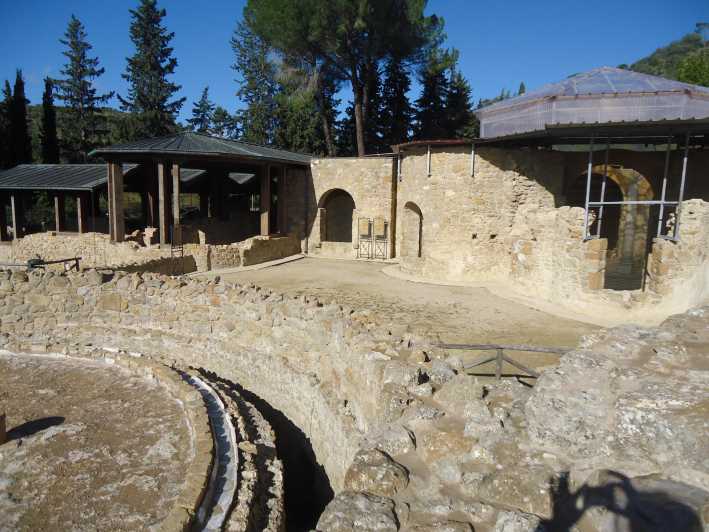 Piazza Armerina & Caltagirone Guided Tour - Highlights of the Tour