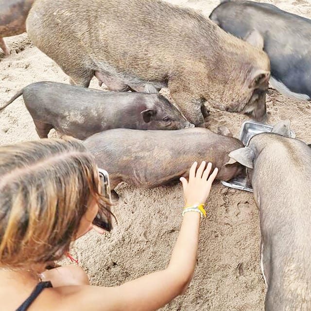 PIG ISLAND VIP SNORKELING LONGTAIL BOAT KOH MUDSUM & KOH TAN - Inclusions