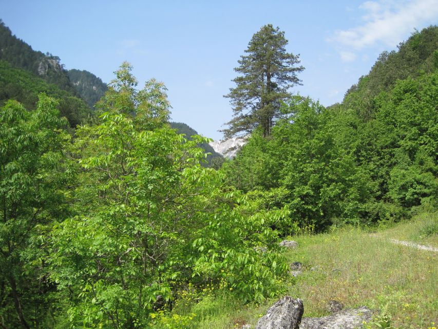 Pindus Mountains: Dragon Lake Full-Day Guided Hike - Trail Highlights