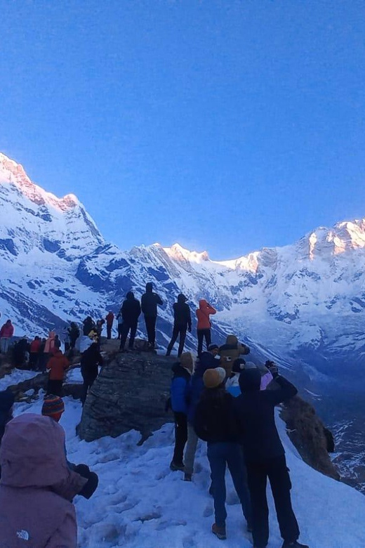 Pokhara: 10 Days Annapurna Base Camp Trek - Accommodation and Meals