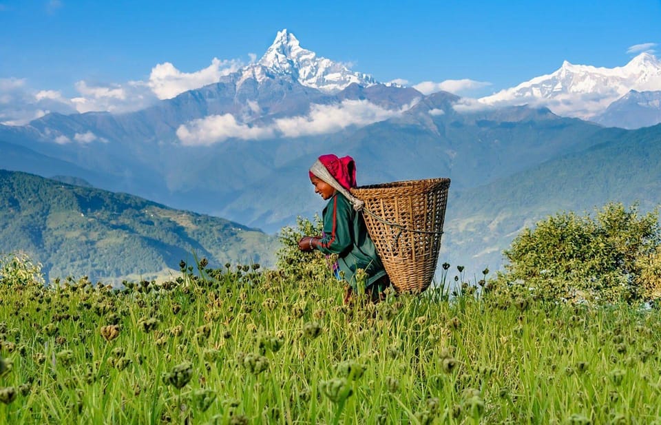 Pokhara: 3 Day Dhampus & Astam Himalayas Village Easy Trek - Included Services and Amenities