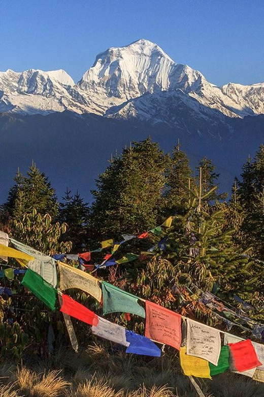 Pokhara: 4 Day Poon Hill Annapurna View Trek - Inclusions and Services