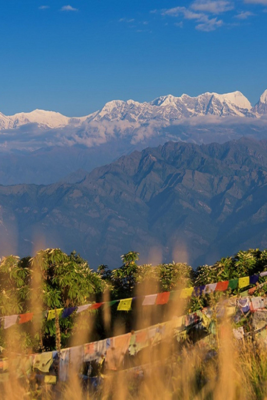 Pokhara : 5-Day Private Trek to Poon Hill & Ghorepani - Daily Itinerary