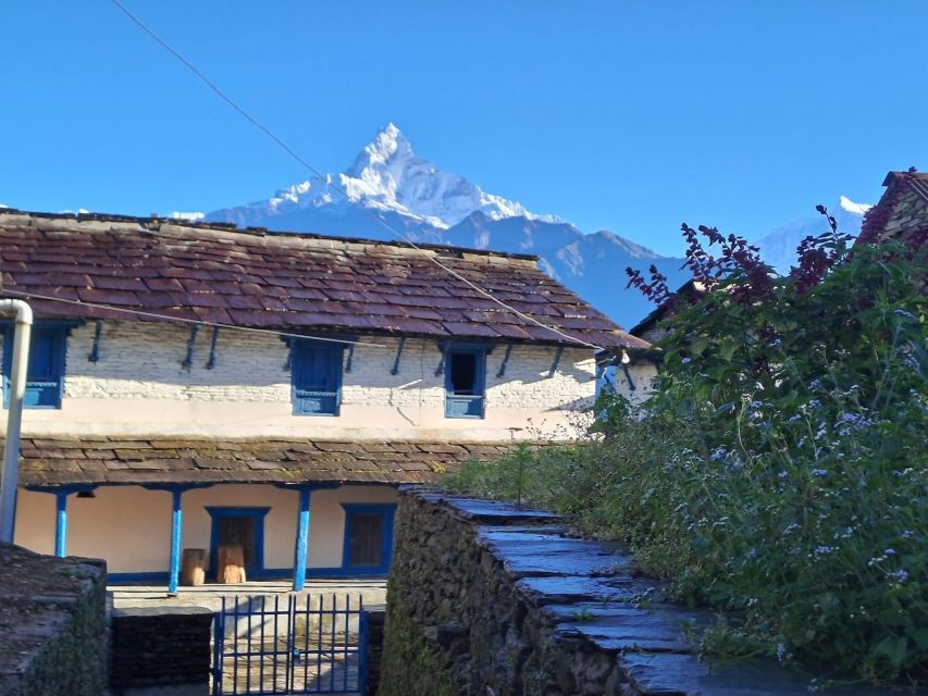 Pokhara: Australian Camp & Dhampus Village Group Join Hike - Inclusions and Exclusions