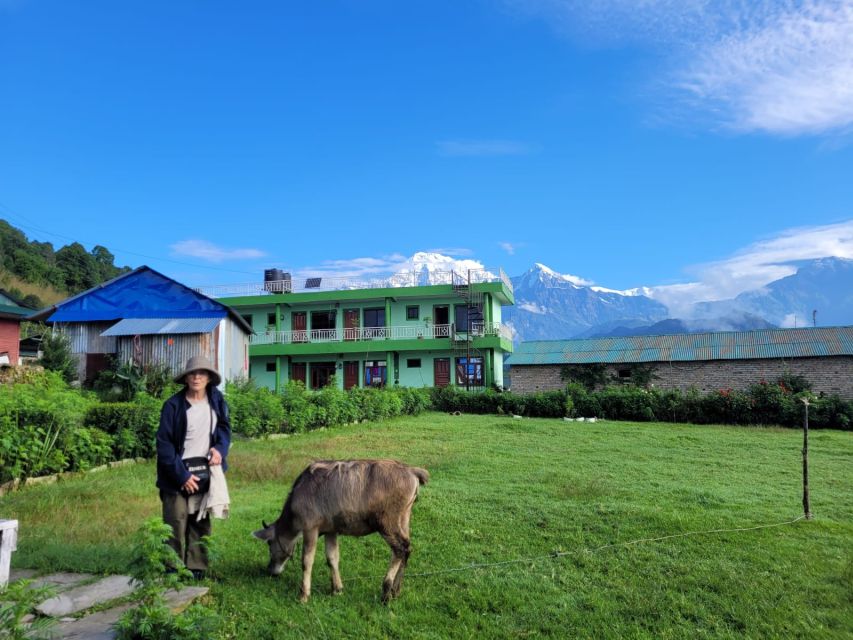 Pokhara: Day Hike to Australian Camp and Dhampus Village - Highlights of the Journey