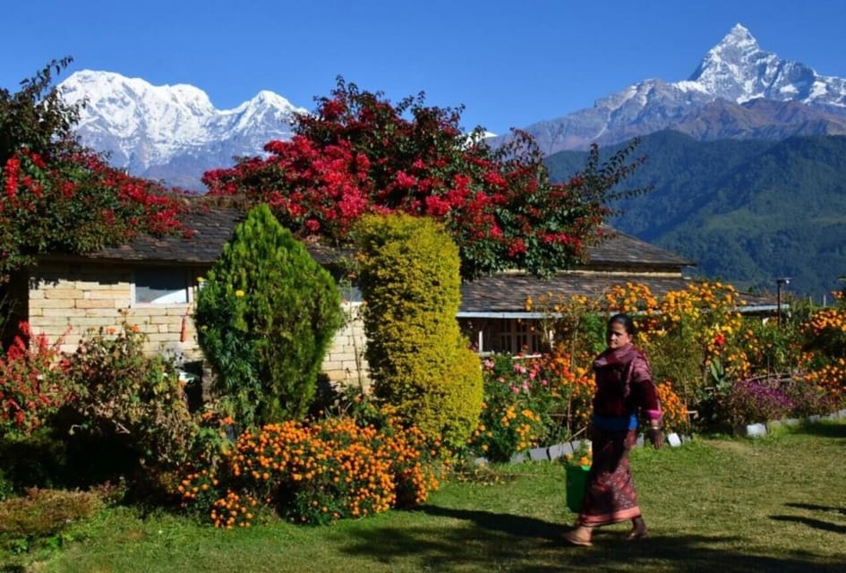 Pokhara: Dhampus Village Car Tour for Scenic Himalayas - Cultural Insights