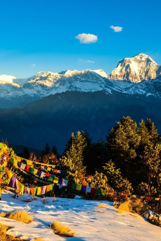 Pokhara: Ghorepani and Poon Hill Trek 3-Day - Experience Highlights