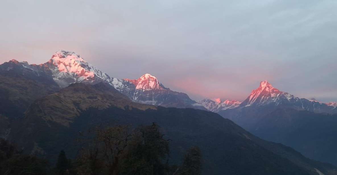 Pokhara: Guided Day Hike From Dampus To Australian Base Camp - Cultural Experience