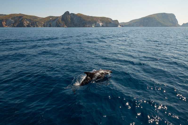 Ponza: Island & Palmarola Cruise With Swimming & Lunch - Inclusions