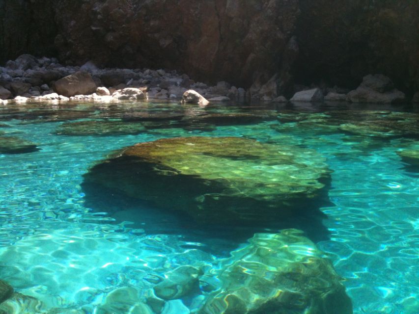 Port De Pollença: Bay of Pollença 2 or 4-Hour Boat Excursion - Inclusions